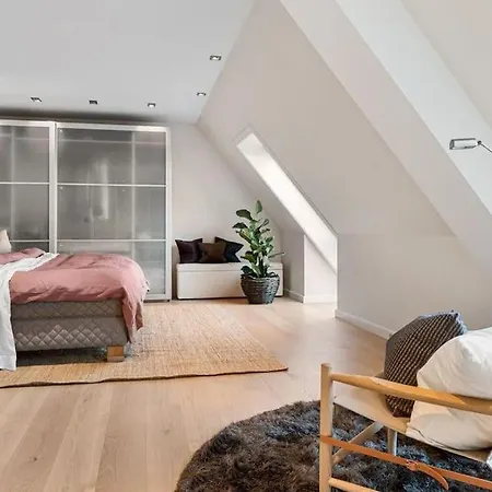 Exclusive Penthouse With Terrace Apartment